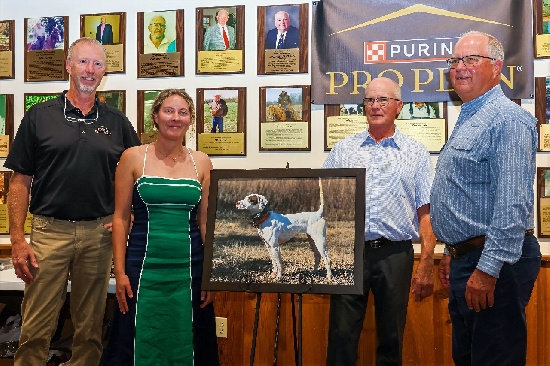NBHA Open Shooting Dog of the Year