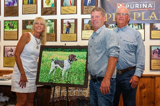 NBHA Amateur Shooting Dog of the Year